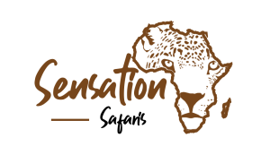 Tanzania Safari-Mount Kilimanjaeo Climb